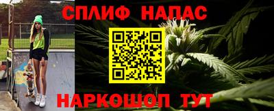 СК Владивосток