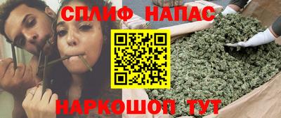 СК Владивосток