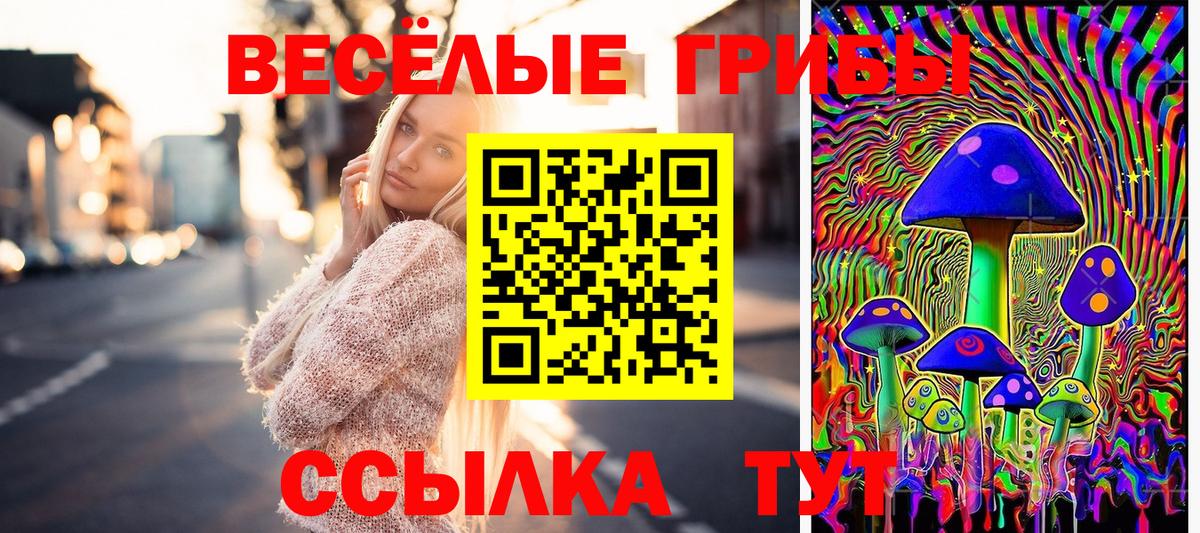 Галлюциногенные грибы прущие грибы  Вход с VPN  Великий Устюг  Псилоцибиновые грибы мухоморы 