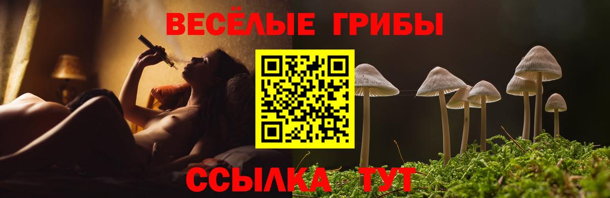Галлюциногенные грибы Magic Shrooms Великий Устюг